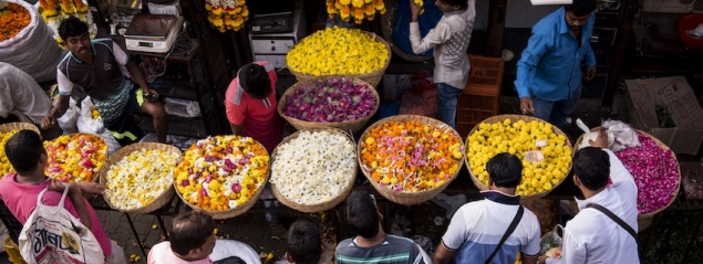 no-mad-india-journal-dadar-flower-market-banner